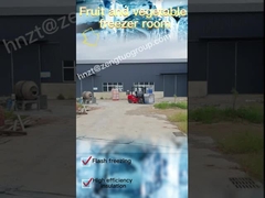 冷蔵庫を建てる100mm厚の冷蔵庫パネル